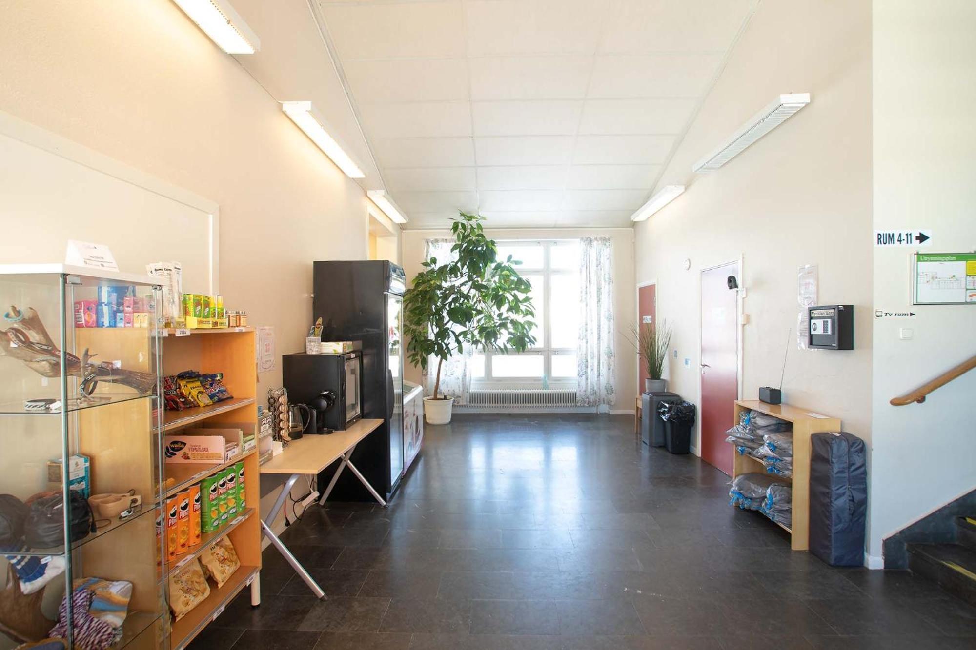 Dalasjoe Vandrarhem Vilhelmina Bagian luar foto